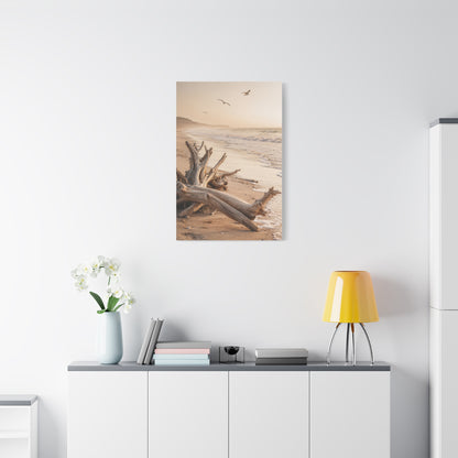 Driftwood Coastal Stillness Shore Wall Art & Canvas Print