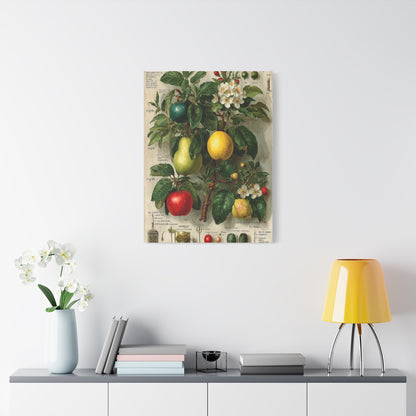 Antique Pomology Botanical Study Wall Art & Canvas Print
