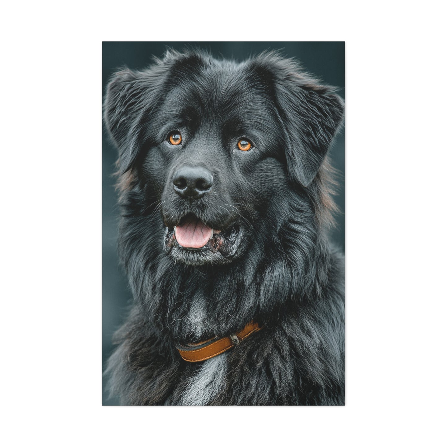 Noble Newfoundland Portrait Wall Art & Canvas Print