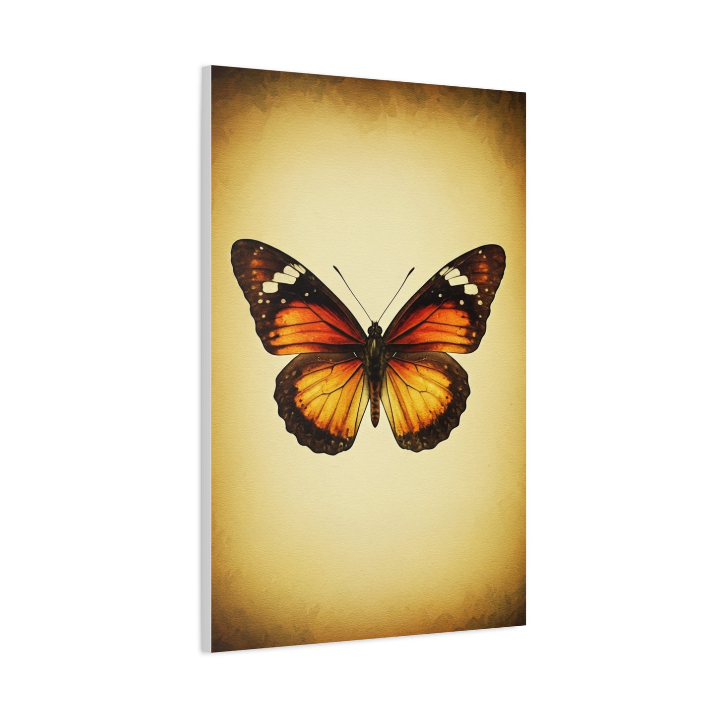 Vintage Monarch Butterfly Illustration Wall Art & Canvas Prints