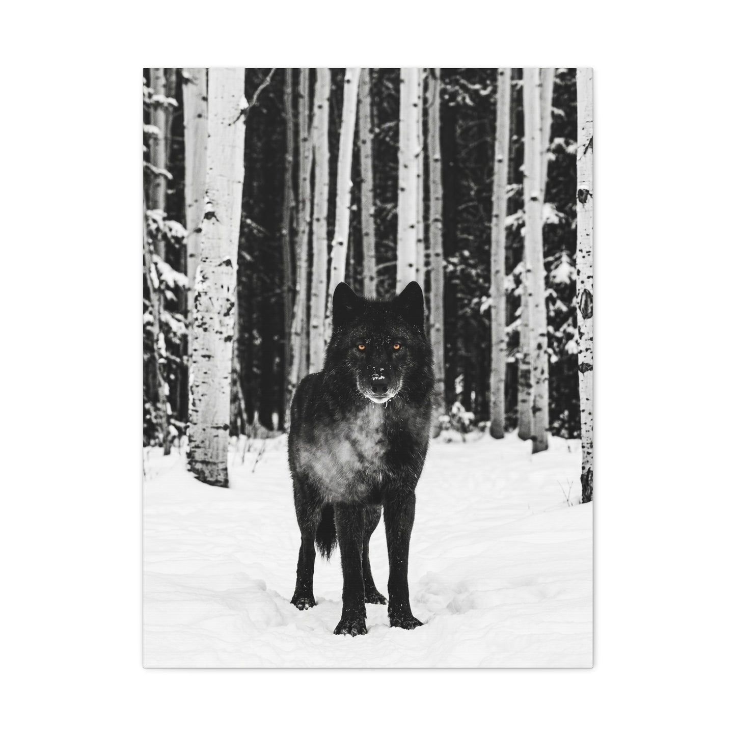 Snow Forest Black Wolf Minimal Scene Wall Art & Canvas Print