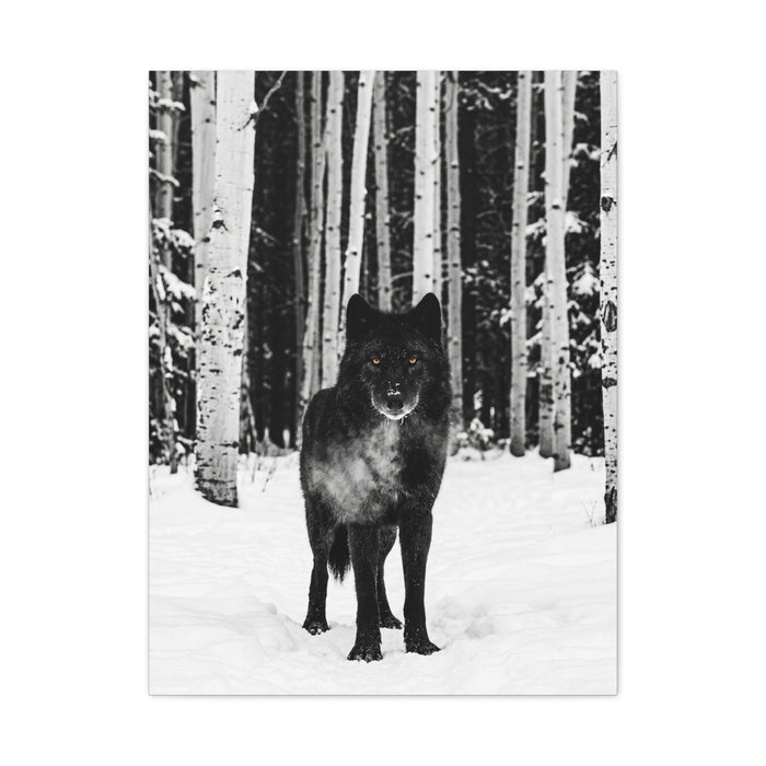 Snow Forest Black Wolf Minimal Scene Wall Art & Canvas Print