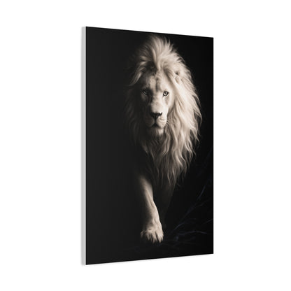 White Lion Shadow Walk Power Wall Art & Canvas Print