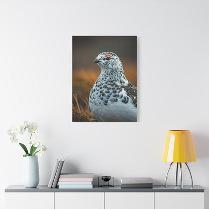 Snowy Grouse Portrait Wall Art & Canvas Prints
