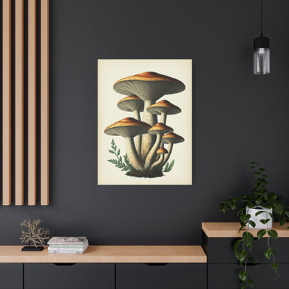 Forest Mushroom Cluster Illustration Wall Art & Canvas Prints