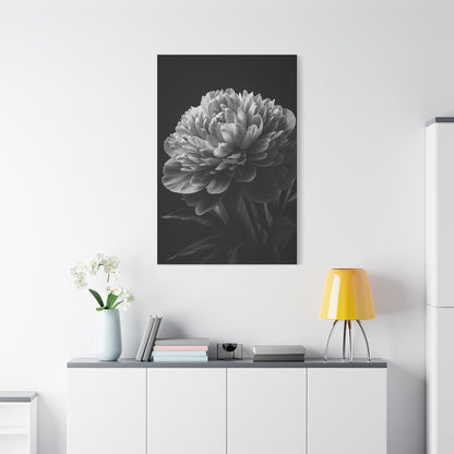 Midnight Peony Elegance Wall Art & Canvas Prints