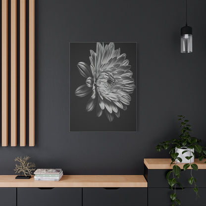 Side Profile Dahlia Bloom Wall Art & Canvas Prints
