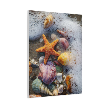 Seashells and Starfish on Ocean Shore Wall Art & Canvas Print