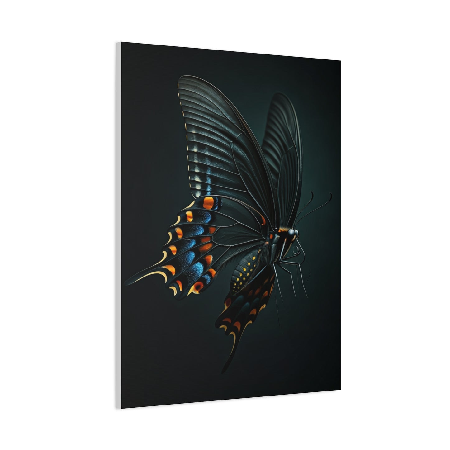 Dark Swallowtail Butterfly in Flight Wall Art & Canvas Prints