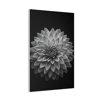 Dahlia Bloom in Shadow Monochrome Wall Art & Canvas Prints