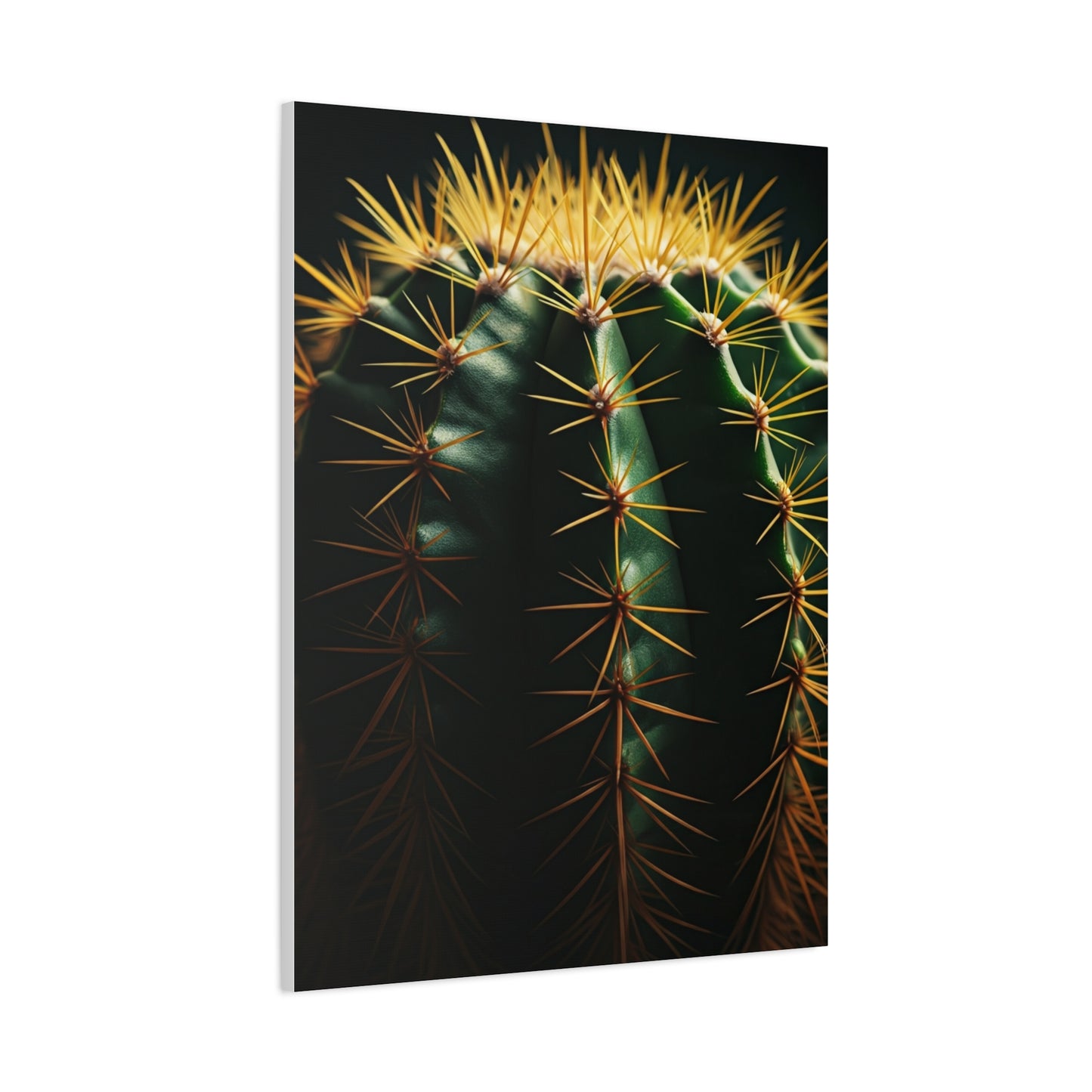 Golden Spine Macro Cactus Wall Art & Canvas Prints