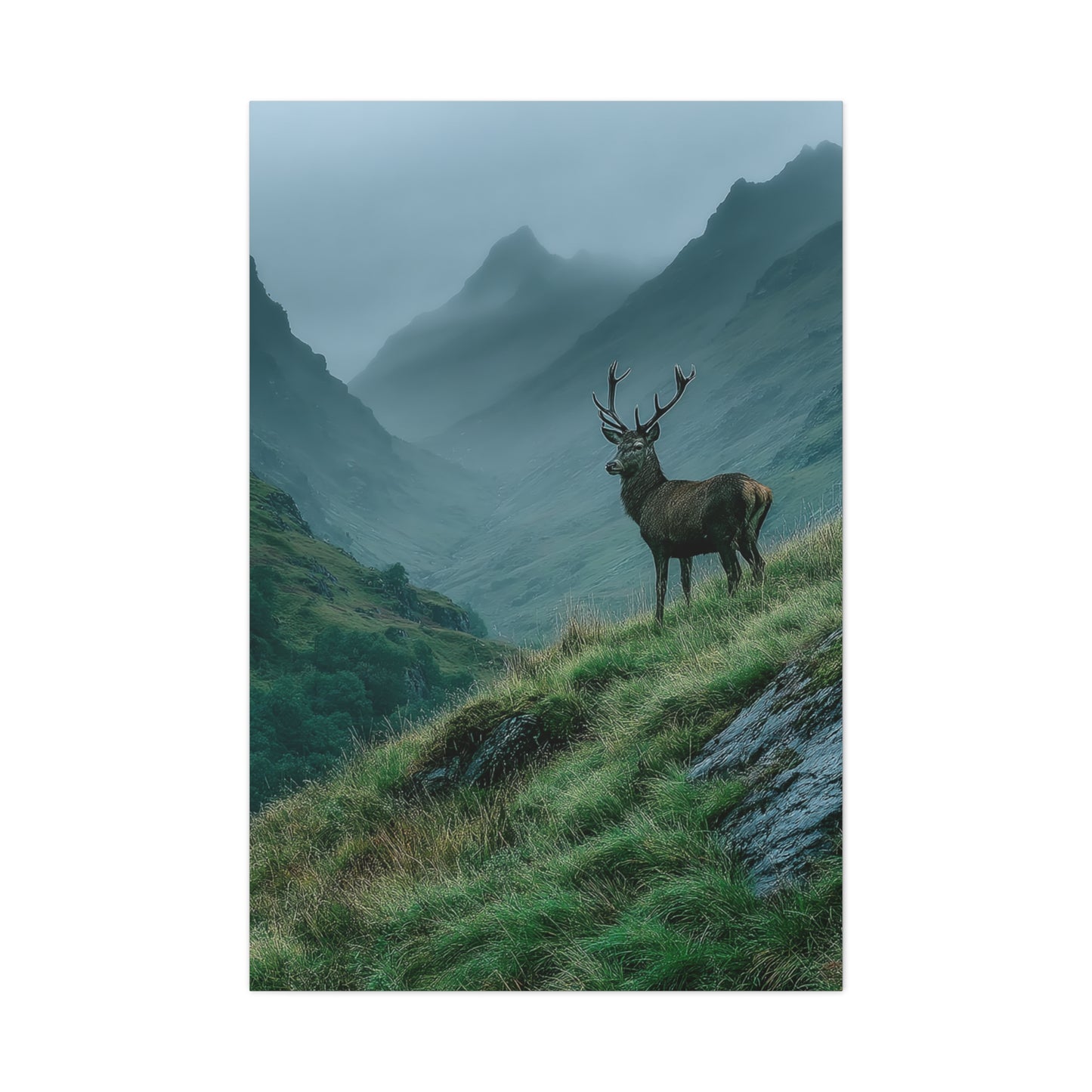 Highland Valley Stag Vista Wall Art & Canvas Print