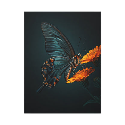 Dark Swallowtail Butterfly on Orange Blossoms Wall Art & Canvas Prints