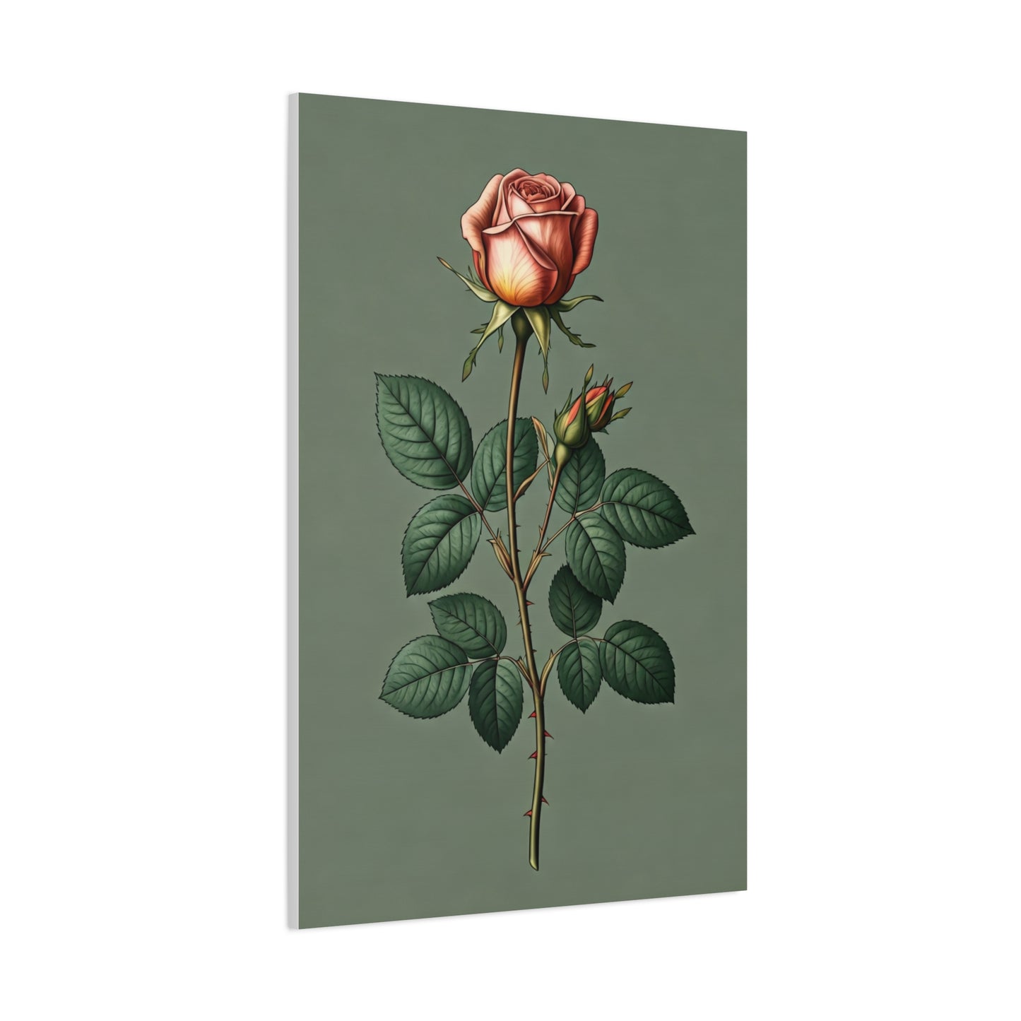 Vintage Rose Study Illustration Wall Art & Canvas Prints