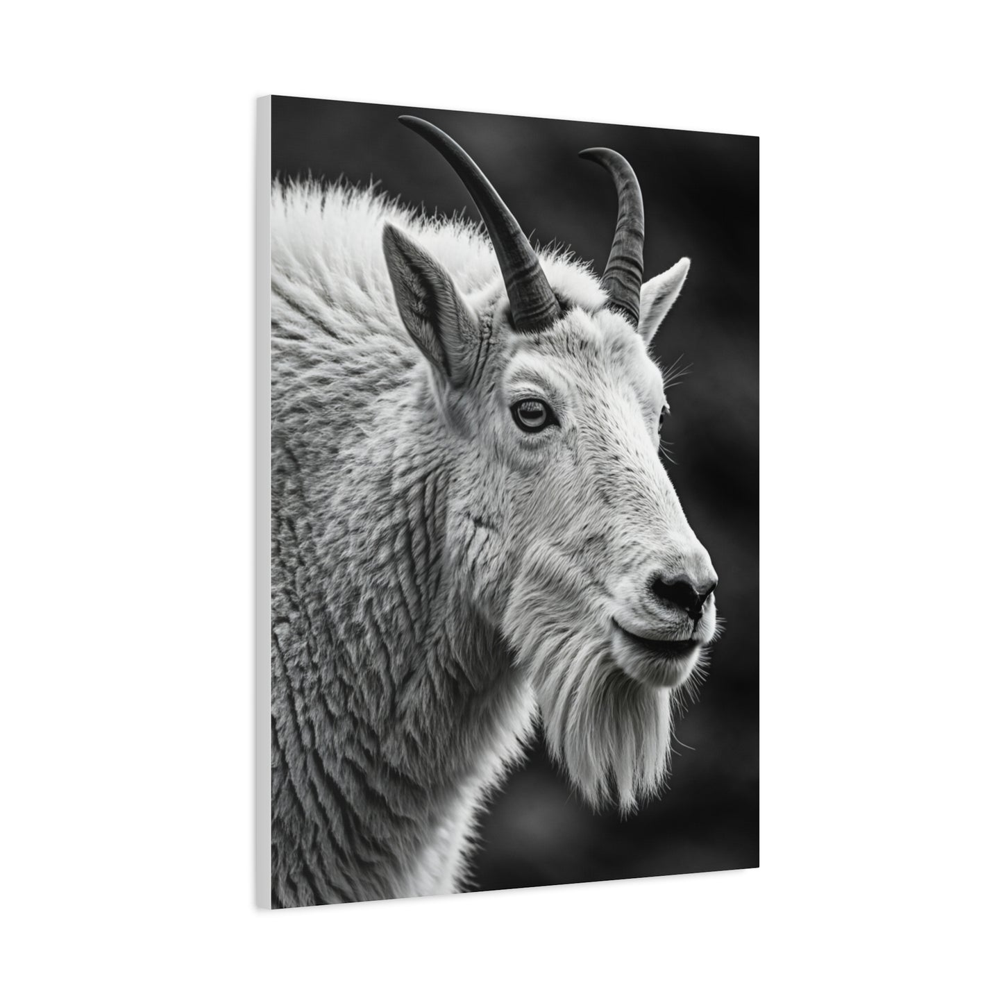 Alpine Goat Portrait Wall Art & Canvas Prints