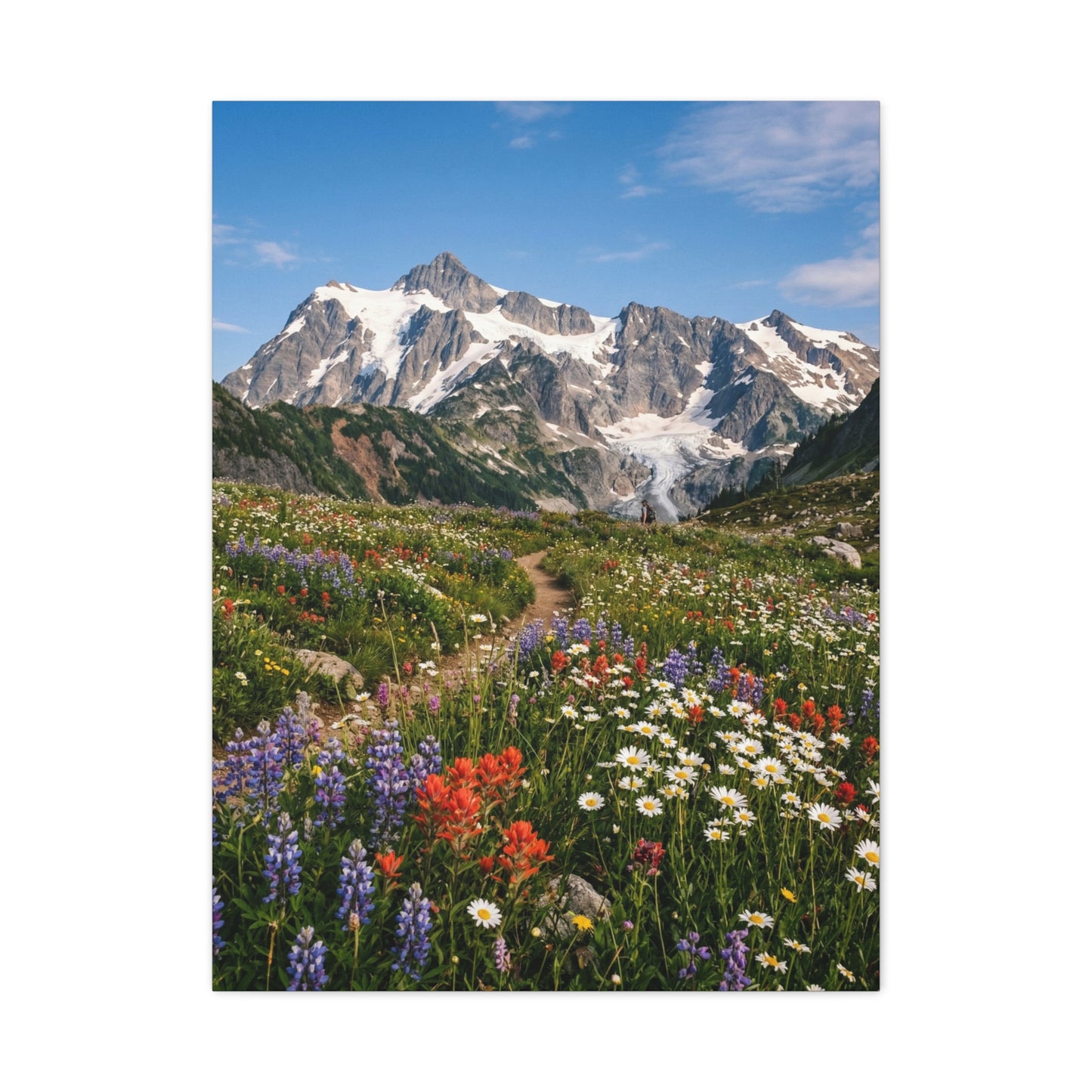 High Alpine Wildflower Meadow Wall Art & Canvas Print