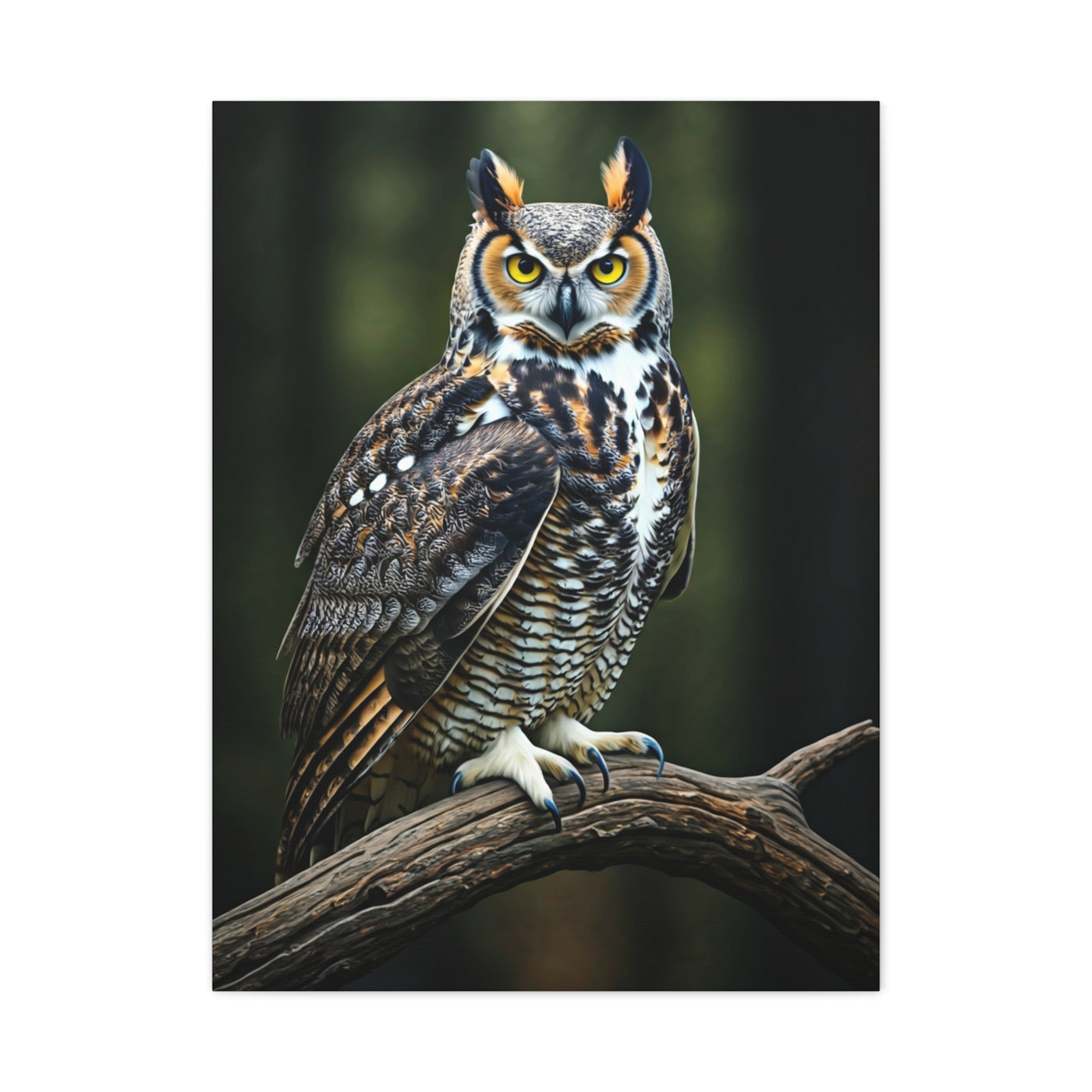 Majestic Owl Perch Wall Art & Canvas Prints