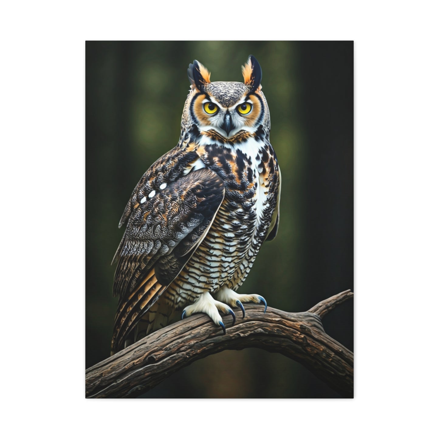 Majestic Owl Perch Wall Art & Canvas Prints