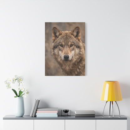 Natural Gray Wolf Close Portrait Wall Art & Canvas Print