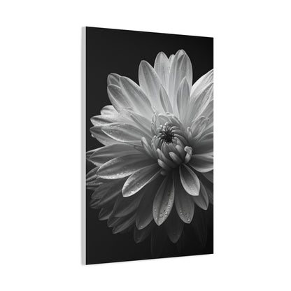Chrysanthemum in Timeless Shadow Wall Art & Canvas Prints
