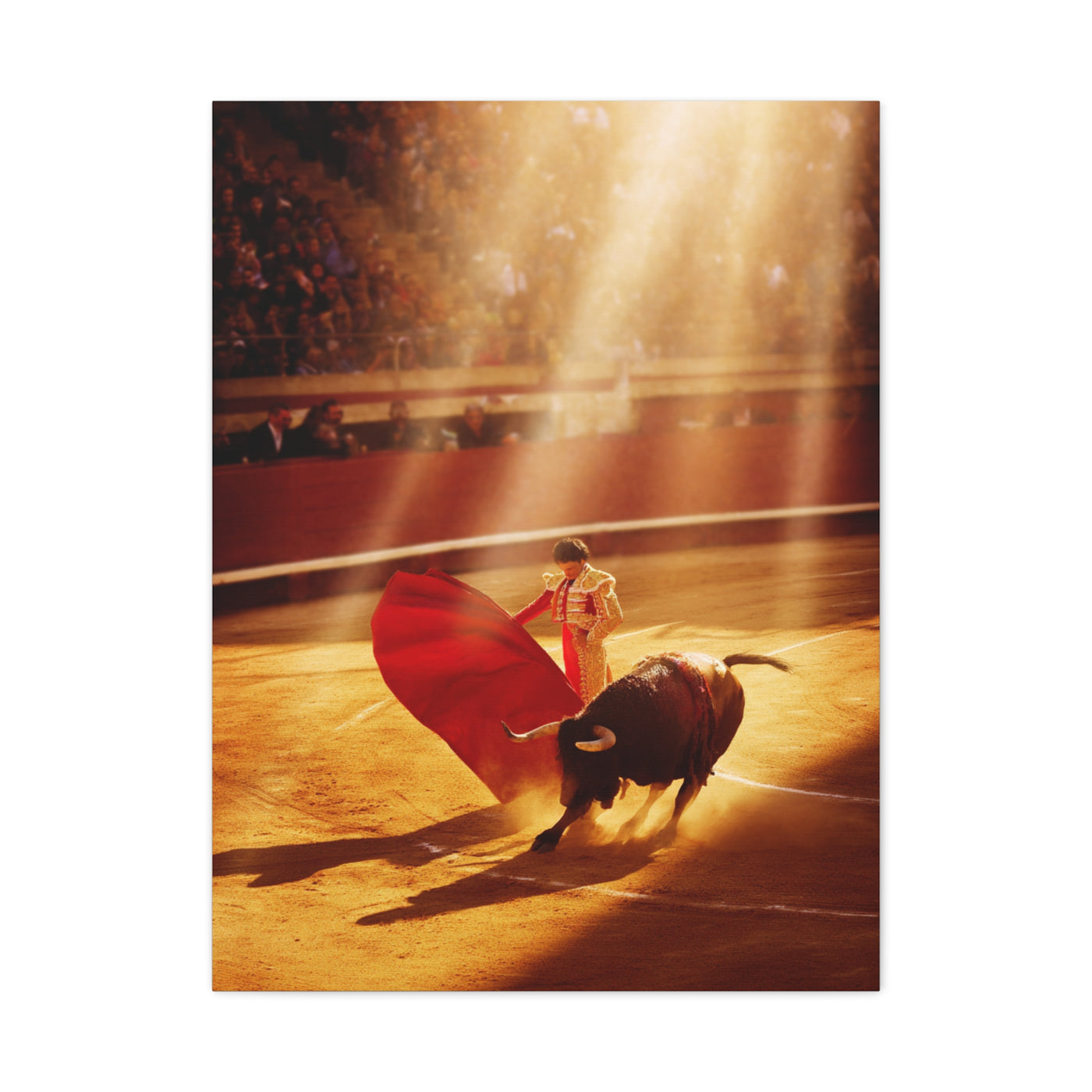 Golden Arena Matador Bullfight Wall Art & Canvas Print