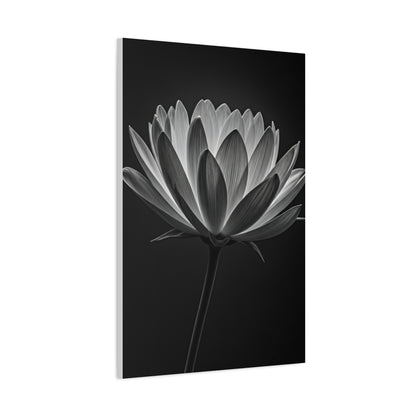 Dramatic Hibiscus Petal Study Wall Art & Canvas Prints