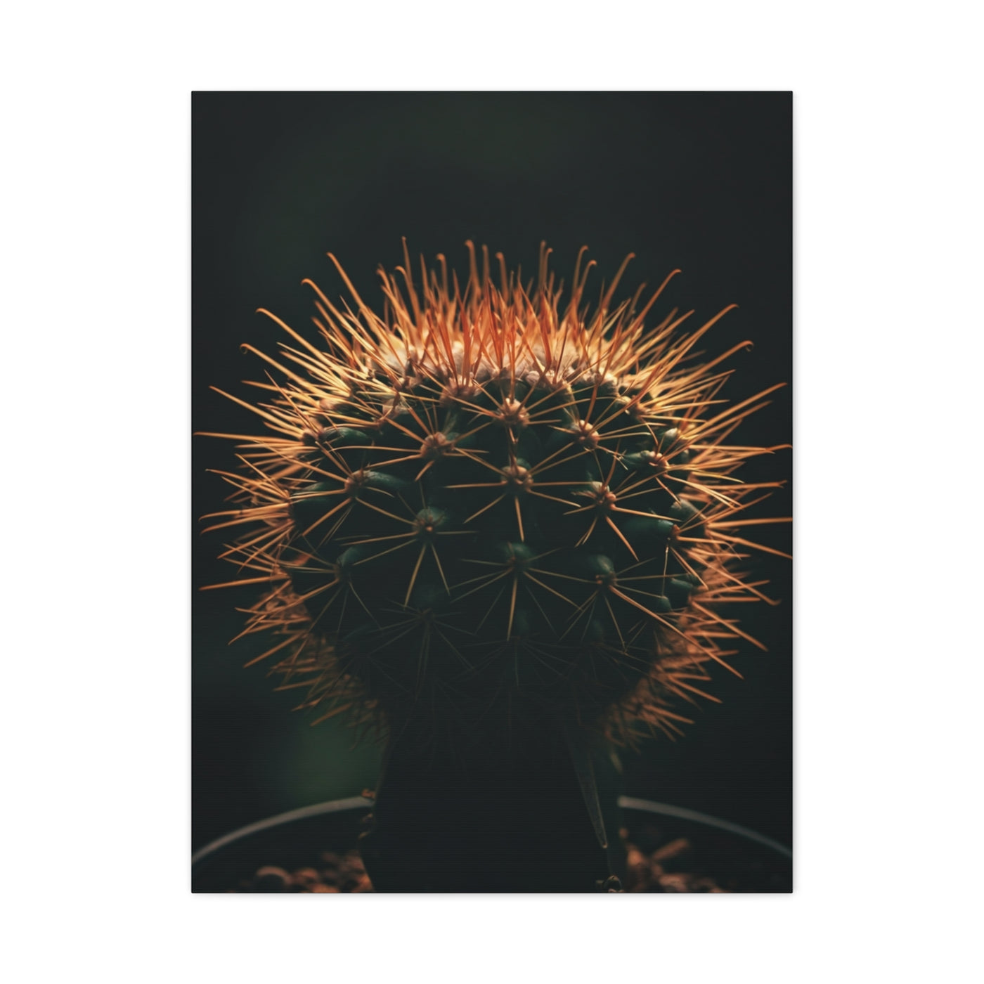 Midnight Desert Cactus Wall Art & Canvas Prints