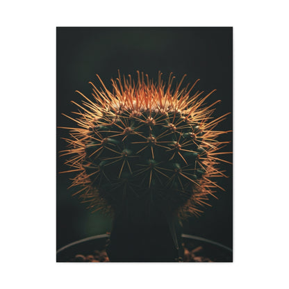 Midnight Desert Cactus Wall Art & Canvas Prints