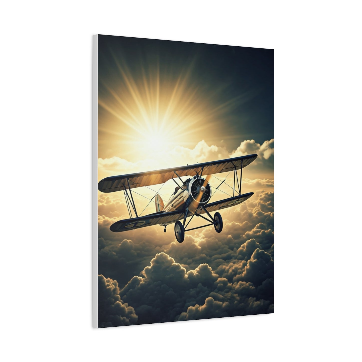 Sunlit Vintage Biplane Flight Wall Art & Canvas Prints