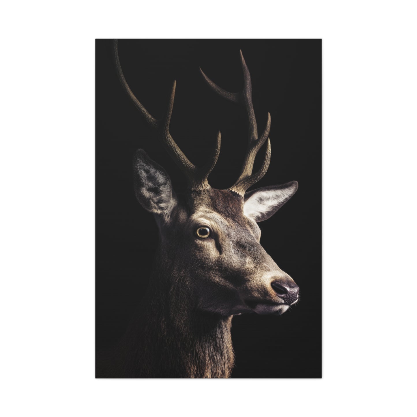 Shadowed Stag Minimal Portrait Wall Art & Canvas Print
