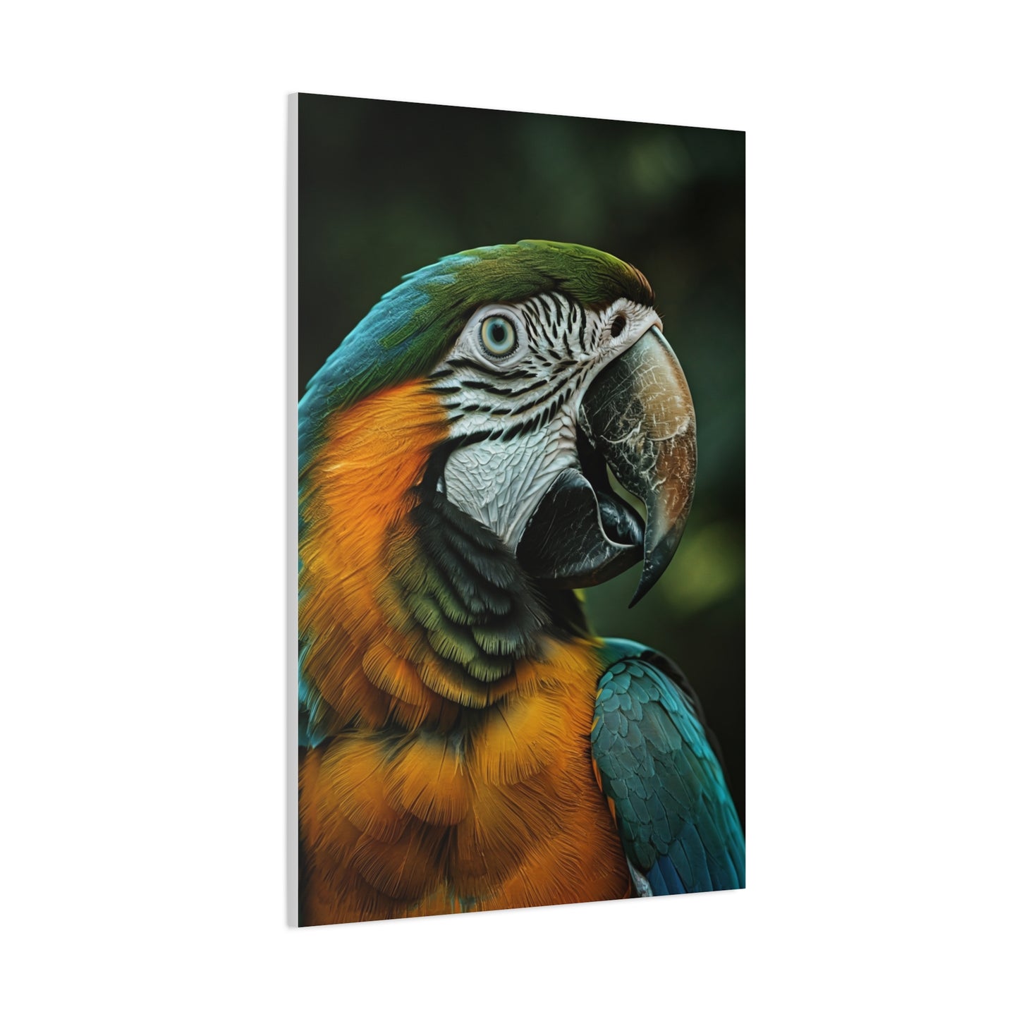 Blue and Gold Macaw Portrait Wall Art & Canvas Prints