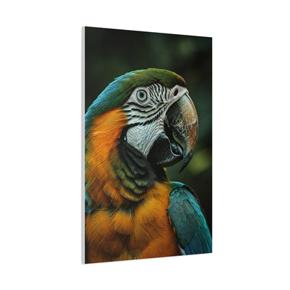 Blue and Gold Macaw Portrait Wall Art & Canvas Prints