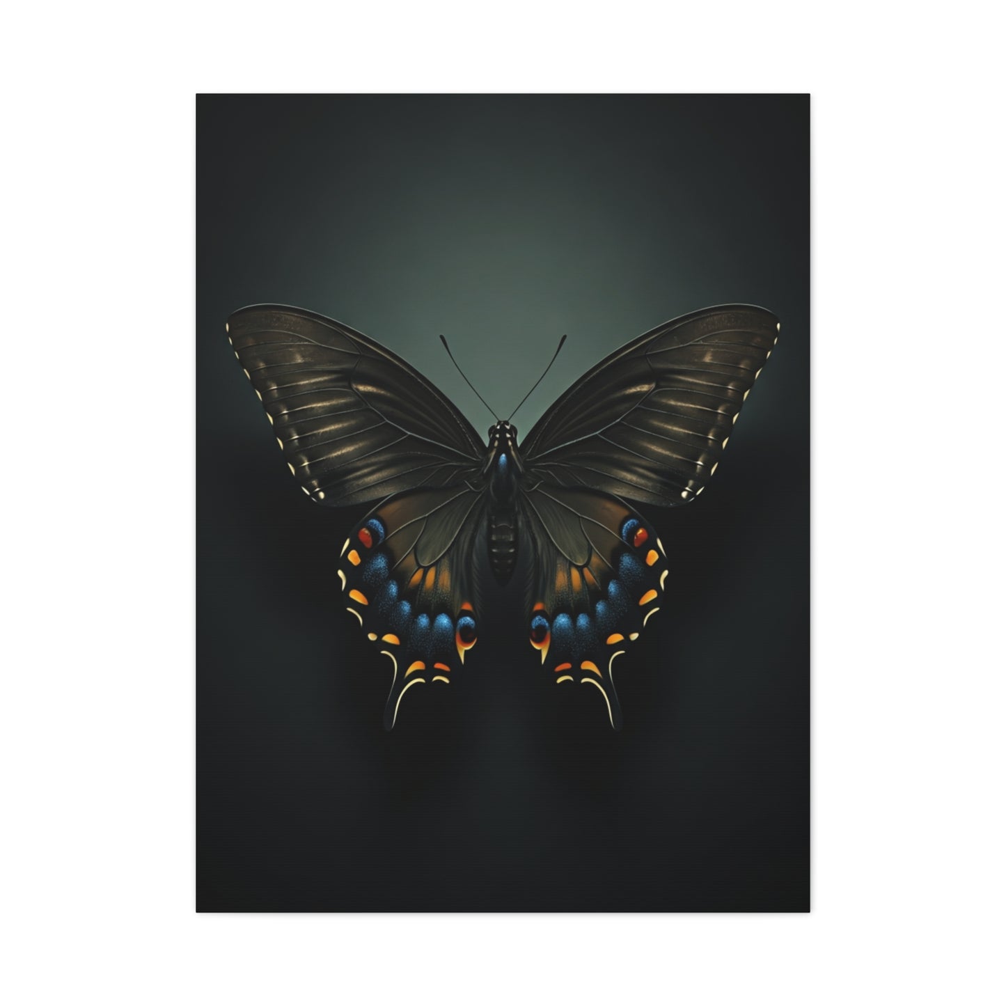 Midnight Swallowtail Butterfly with Jewel Wing Accents Wall Art & Canvas Prints
