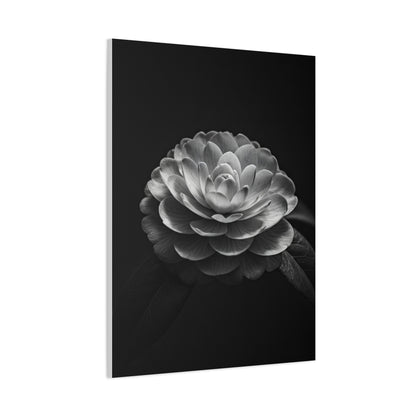 Full Bloom Camellia in Deep Contrast Wall Art & Canvas Prints