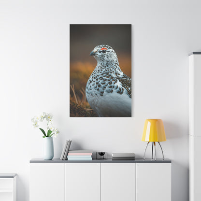 Snowy Grouse Portrait Wall Art & Canvas Prints