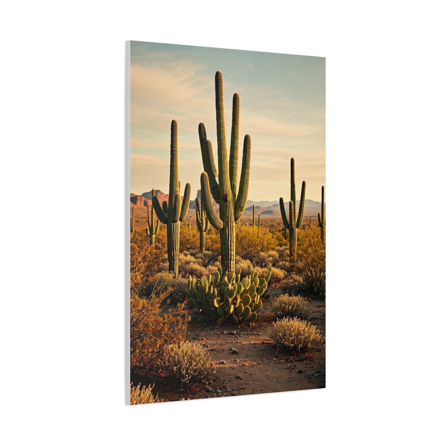 Sonoran Desert Saguaro Field Wall Art & Canvas Prints