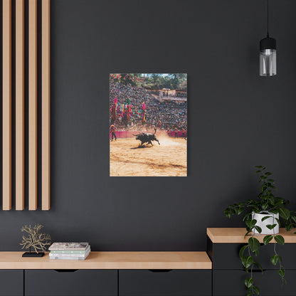 Latin American Bull Festival Arena Wall Art & Canvas Print