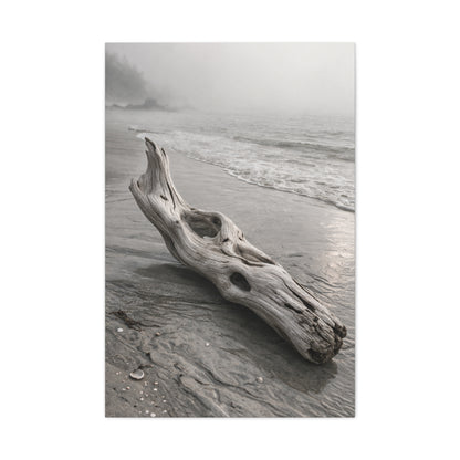Driftwood Coastal Minimal Wall Art & Canvas Print