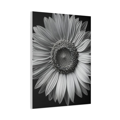 Velvet Orchid Bloom in Monochrome Wall Art & Canvas Prints