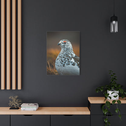Snowy Grouse Portrait Wall Art & Canvas Prints