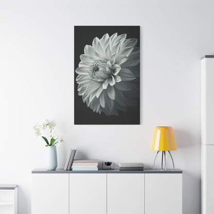 Silver Dahlia Blossom Wall Art & Canvas Prints