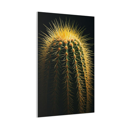 Desert Stone Barrel Cactus Wall Art & Canvas Prints