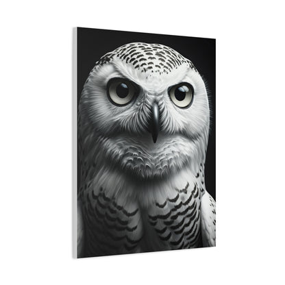 Snowy Owl Intense Gaze Wall Art & Canvas Prints