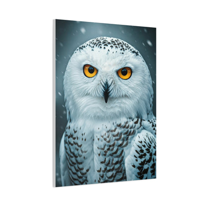 Snowy Owl with Golden Eyes Wall Art & Canvas Prints