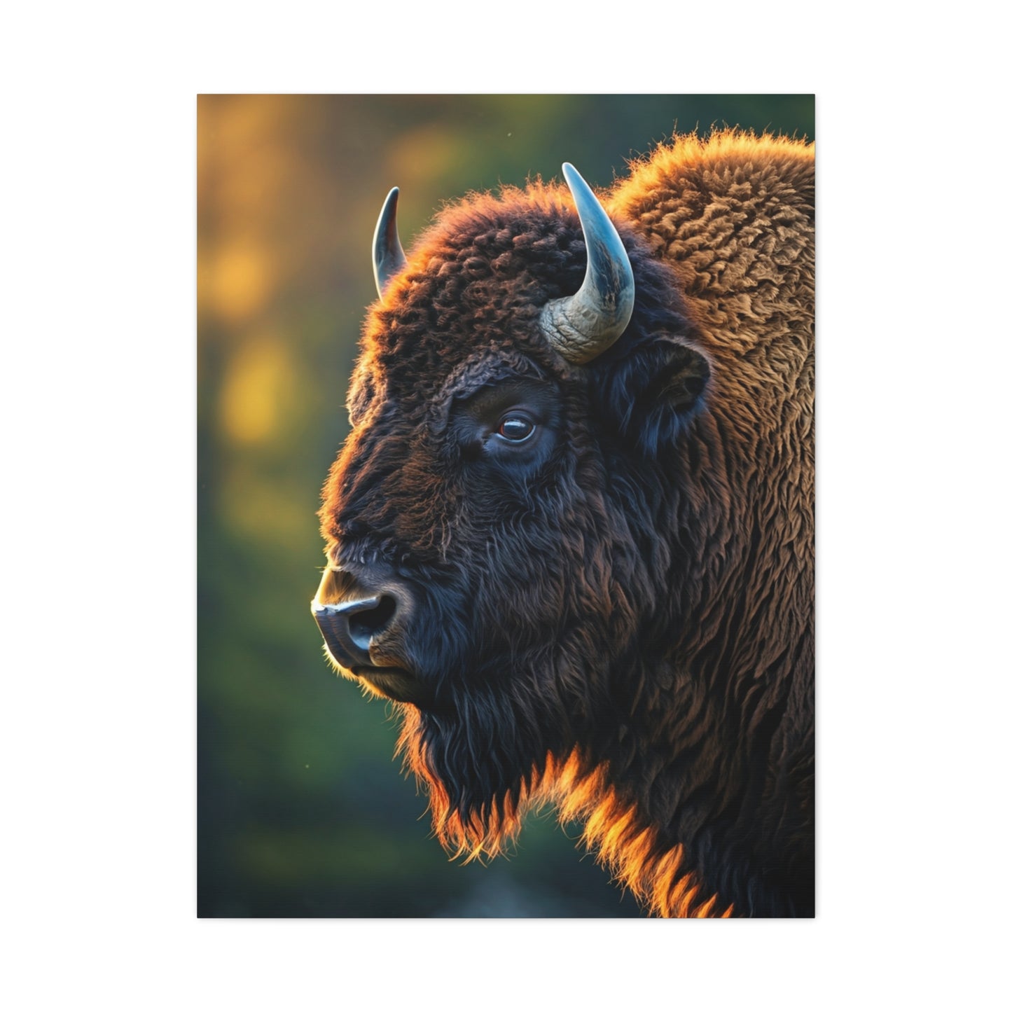 Golden Hour Bison Side Profile Wall Art & Canvas Print