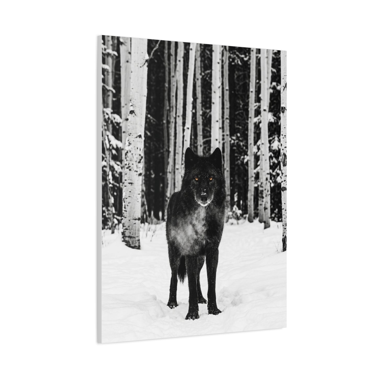 Snow Forest Black Wolf Minimal Scene Wall Art & Canvas Print