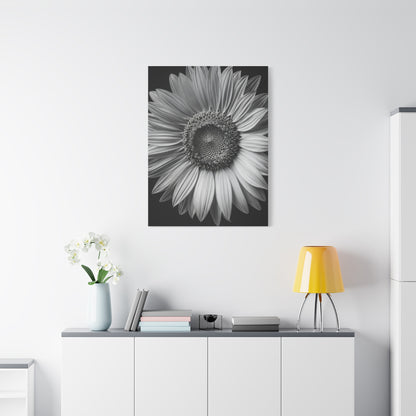 Velvet Orchid Bloom in Monochrome Wall Art & Canvas Prints