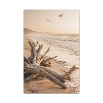 Driftwood Coastal Stillness Shore Wall Art & Canvas Print