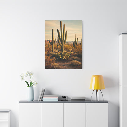 Sonoran Desert Saguaro Field Wall Art & Canvas Prints