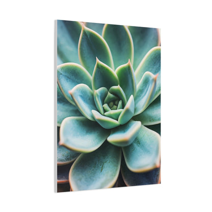 Sage Succulent Bloom Wall Art & Canvas Prints